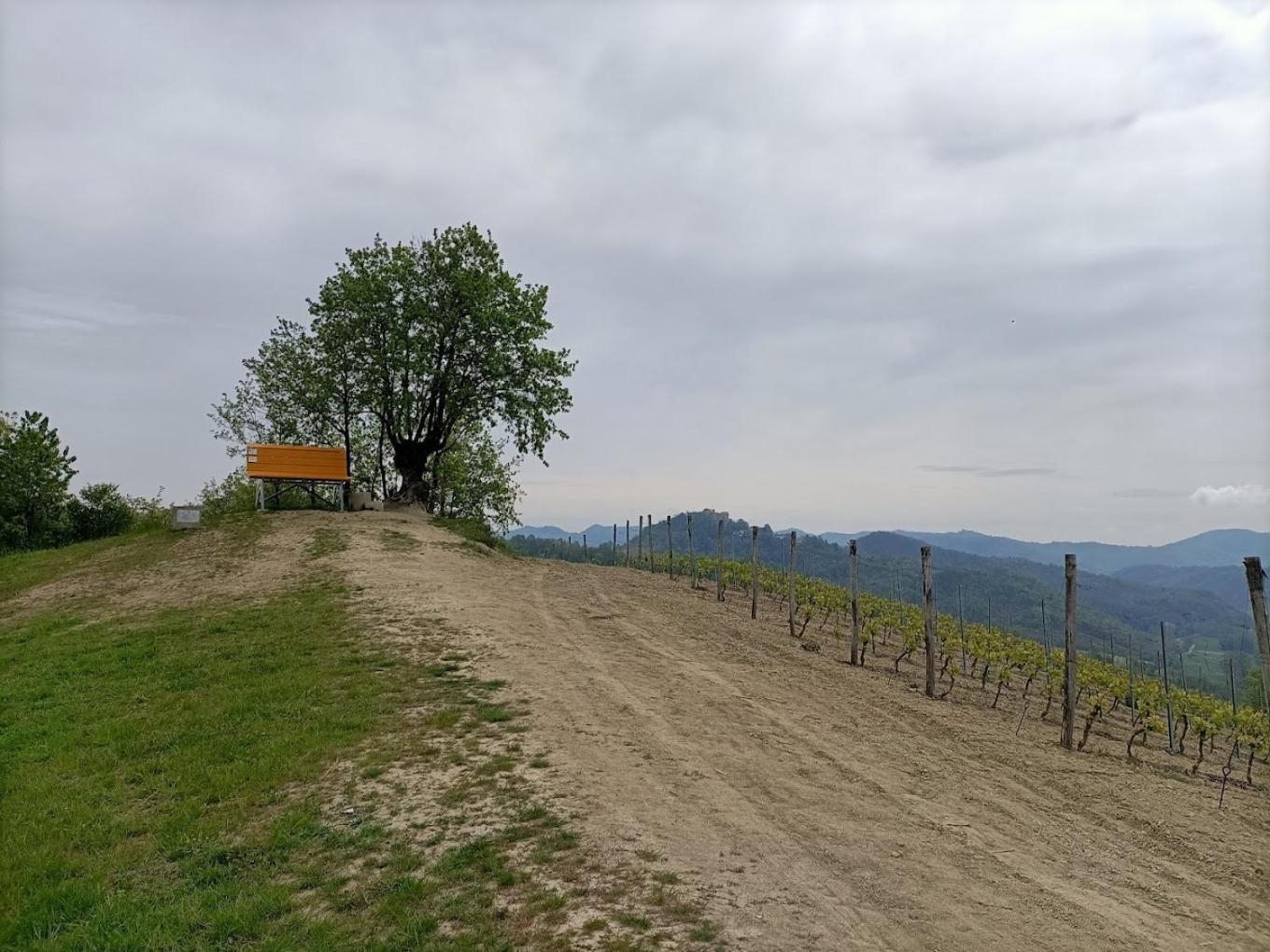 Monferrato Bed&Bike Hotel Murisengo ภายนอก รูปภาพ