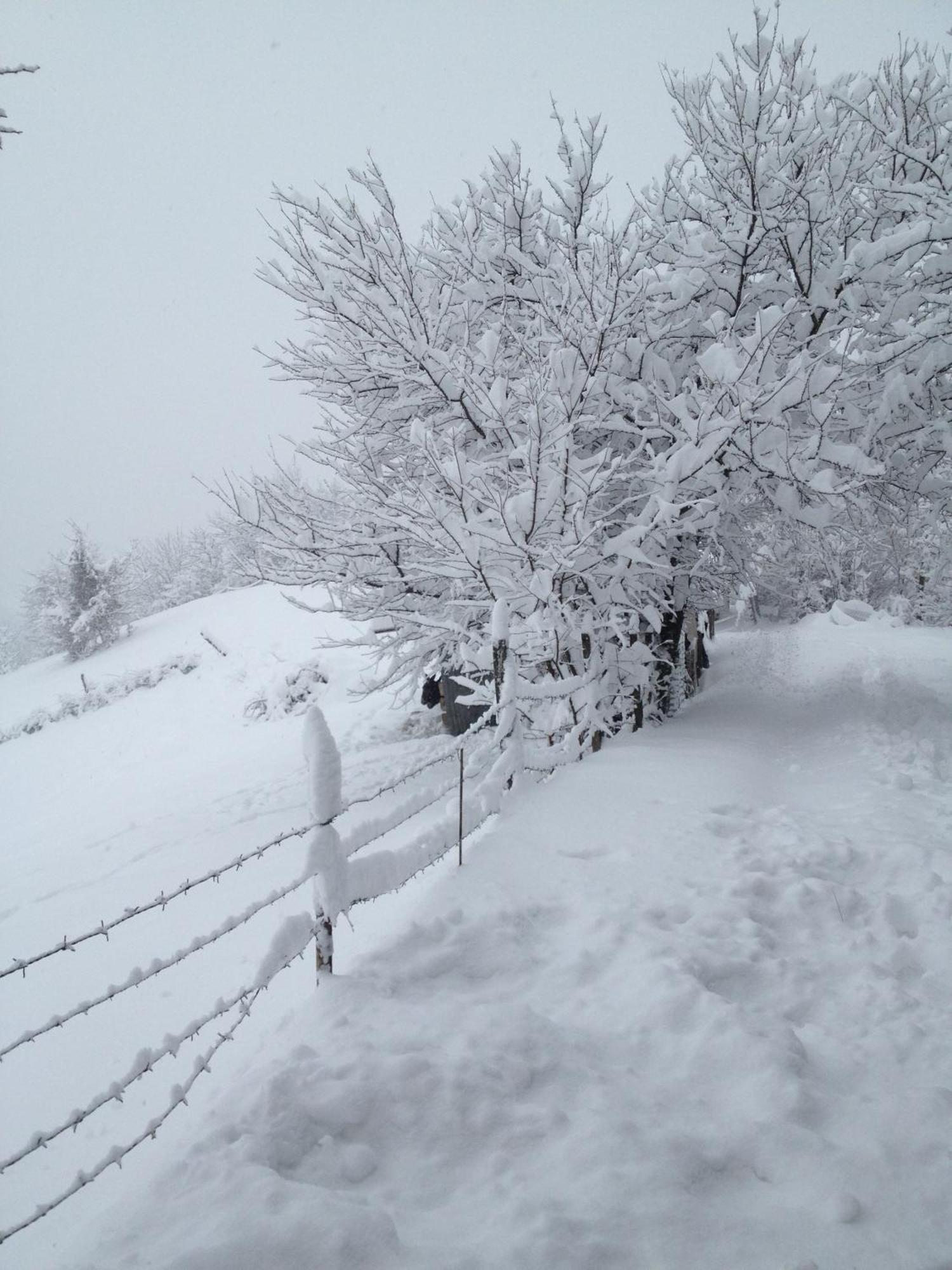 Monferrato Bed&Bike Hotel Murisengo ภายนอก รูปภาพ